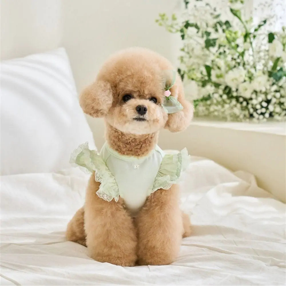 Pet Supplies Lace Pet Summer Vest Soft Flying Sleeve Cat Base Skirt Breathable Dog Clothes Puppy