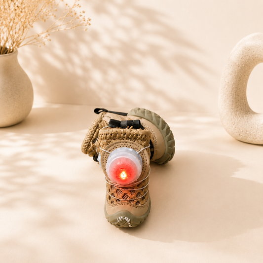 LED Light-Up Summer Dog Shoes